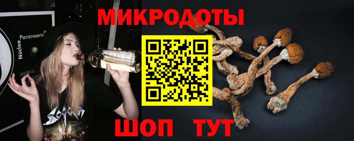 Кохма  Псилоцибиновые грибы мицелий  Вход с VPN 